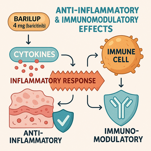 Medical diagram explaining the anti-inflammatory and immunomodulatory effects of Barilup 4mg