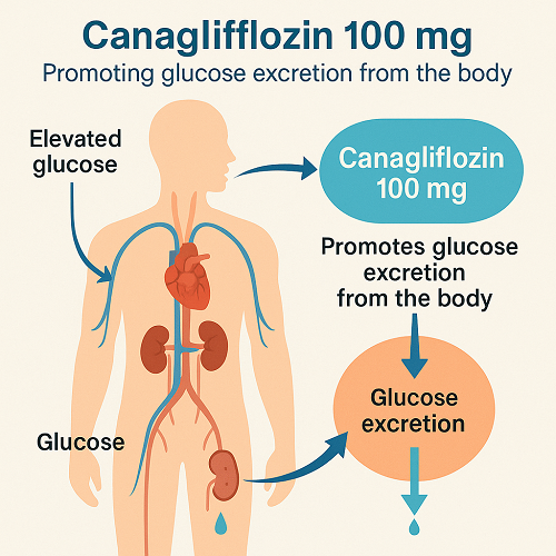Medical diagram explaining how Canagliflozin 100mg promotes glucose excretion from the body