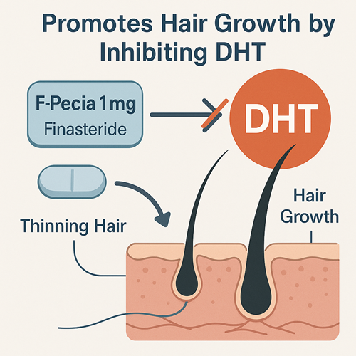 Visual diagram showing how F-pecia 1mg promotes hair growth by inhibiting DHT