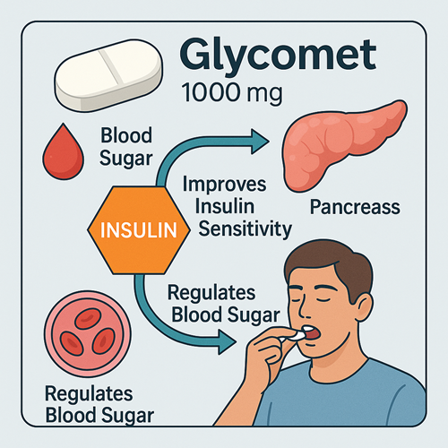 Visual diagram showing how Glycomet 1000mg improves insulin sensitivity and regulates blood sugar