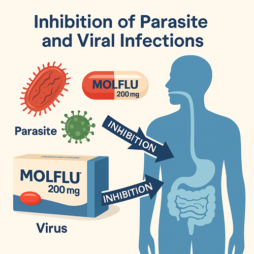 Visual diagram showing how Molflu 200mg inhibits parasite and viral infections