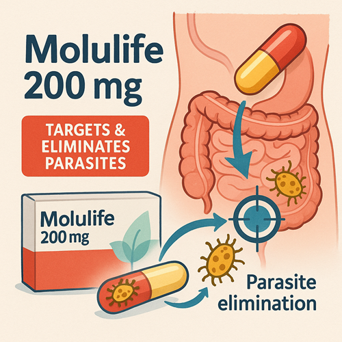 Visual diagram showing how Molulife 200mg targets and eliminates parasites