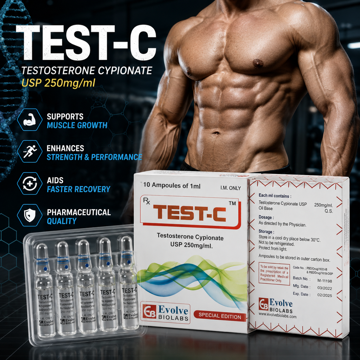 Growth Hormone (GH), Testosterone &amp; Muscle Growth: How Hormones Support Protein Synthesis and Recovery