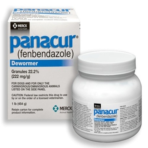 Panacur Granules 22.2% (Fenbendazole) canine dewormer retail box and large container front view for online pet pharmacy dog parasite treatment