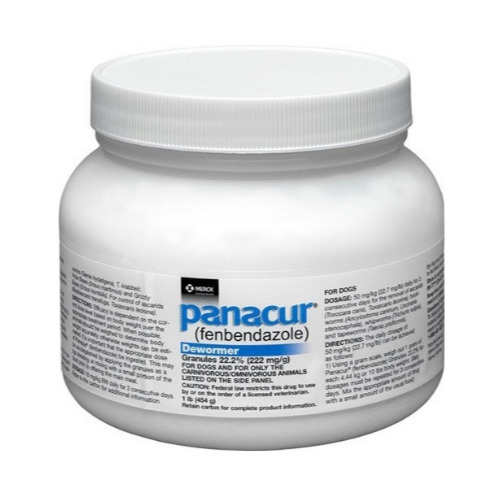 Panacur Granules 22.2% (Fenbendazole) veterinary dewormer white plastic container close-up for intestinal worm control in dogs online pharmacy