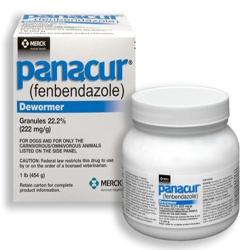 Panacur Granules 22.2% - Dewormer for Dogs